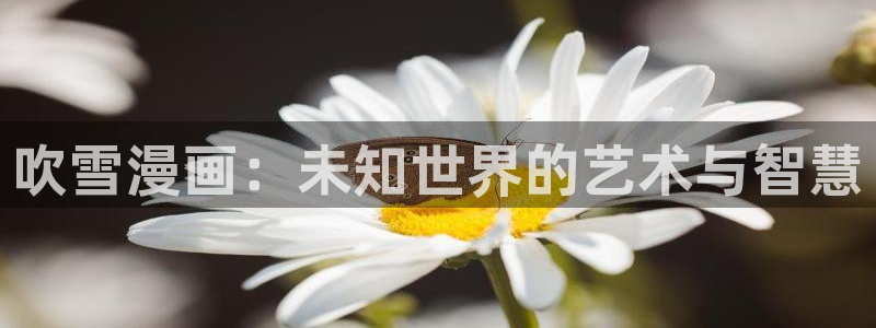 格莱普尼尔禁漫天堂漫画：吹雪漫画：未知世界的艺术与智慧